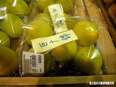 巨広錦0707.jpg