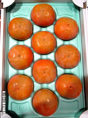 松本早生1030.jpg
