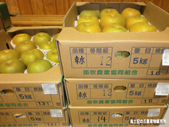 梨箱2.jpg