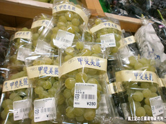 甲斐美麗.jpg