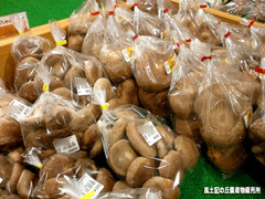 肉厚椎茸.jpg