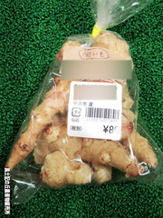 菊芋1020.jpg
