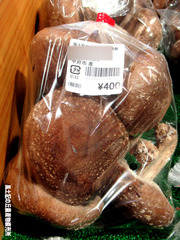 菌床しいたけ1020.jpg