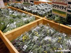 菜花類.jpg