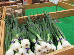 葉たまねぎ20200424.jpg