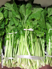 野沢菜1020.jpg