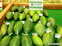 青パパイヤ2.jpg