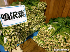 鳴沢菜2.jpg