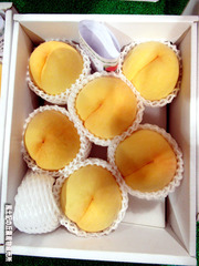 黄金桃0904.jpg