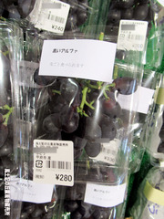 黒いアルファ0826.jpg