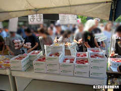 FF桃販売1.jpg