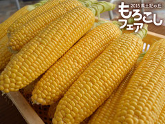 morokoshif004.jpg