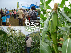 morokoshif006.jpg
