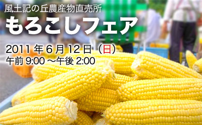 morokoshifair2.jpg