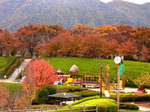 曽根丘陵公園